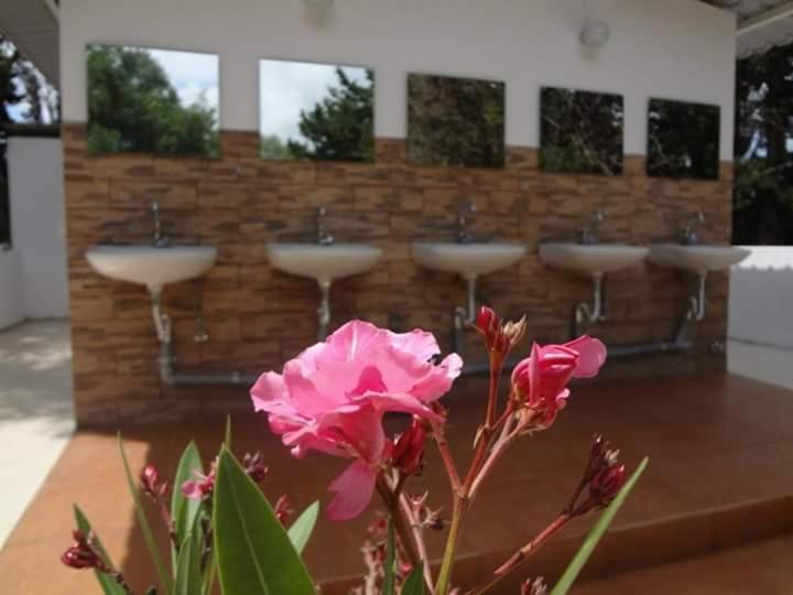 Camping Argostoli Exteriér fotografie